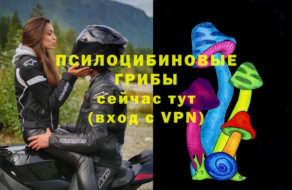 гидропоника Аркадак