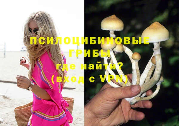 гидропоника Арсеньев